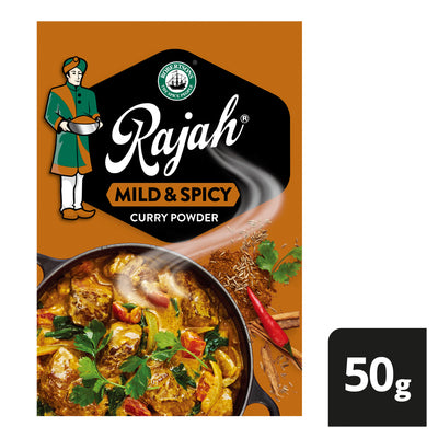 Robertsons Rajah Curry Powder Mild & Spicy 50g