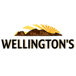 Wellington's Hot Chilli Sauce 375ml